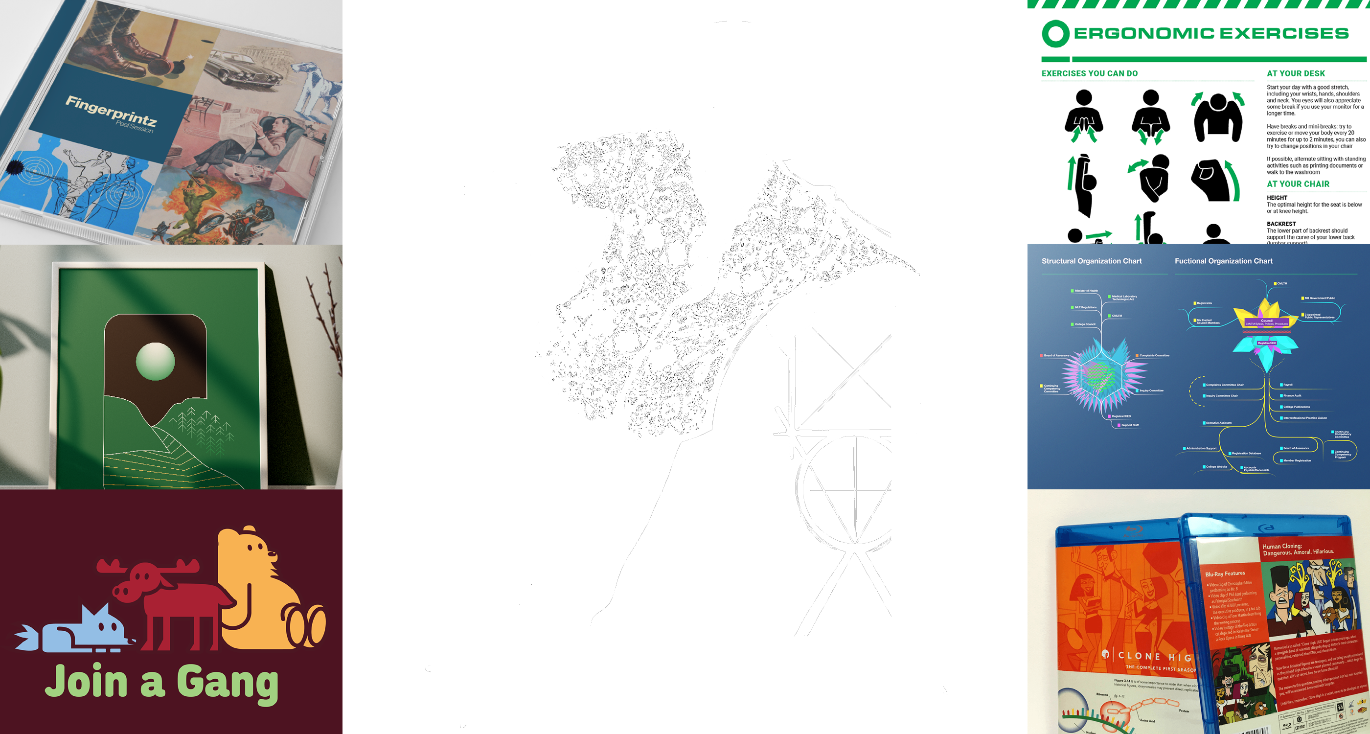 Project Name